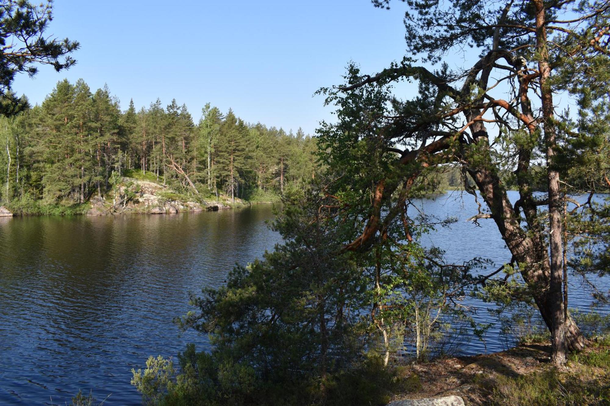 Hus Vena - Schoenes Ferienhaus Naehe Vimmerby Und Astrid Lindgrens Vaerld 외부 사진